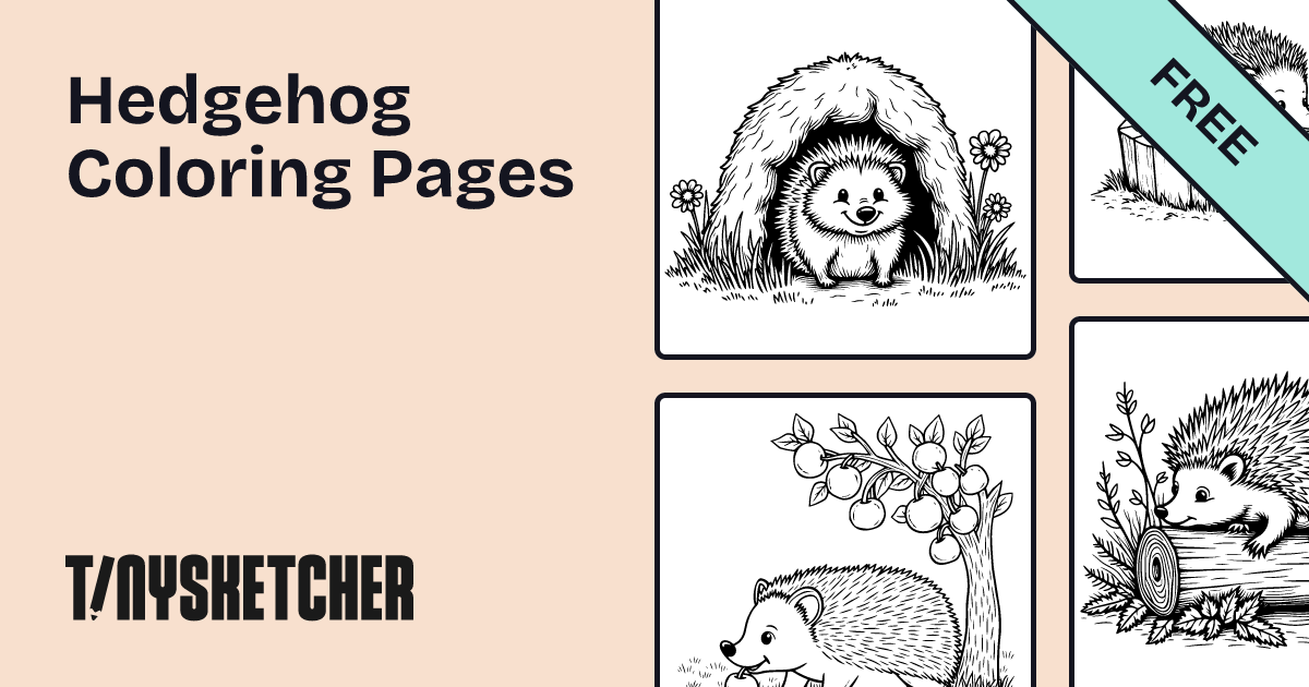 Popular Hedgehog Coloring Pages | Free Printables | Tiny Sketcher