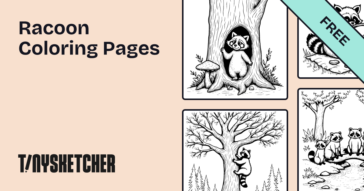 Popular Racoon Coloring Pages | Free Printables | Tiny Sketcher