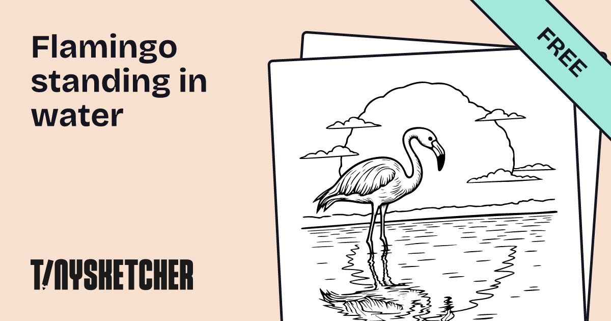 Flamingo standing in water Coloring Page | Free Printables | Tiny Sketcher