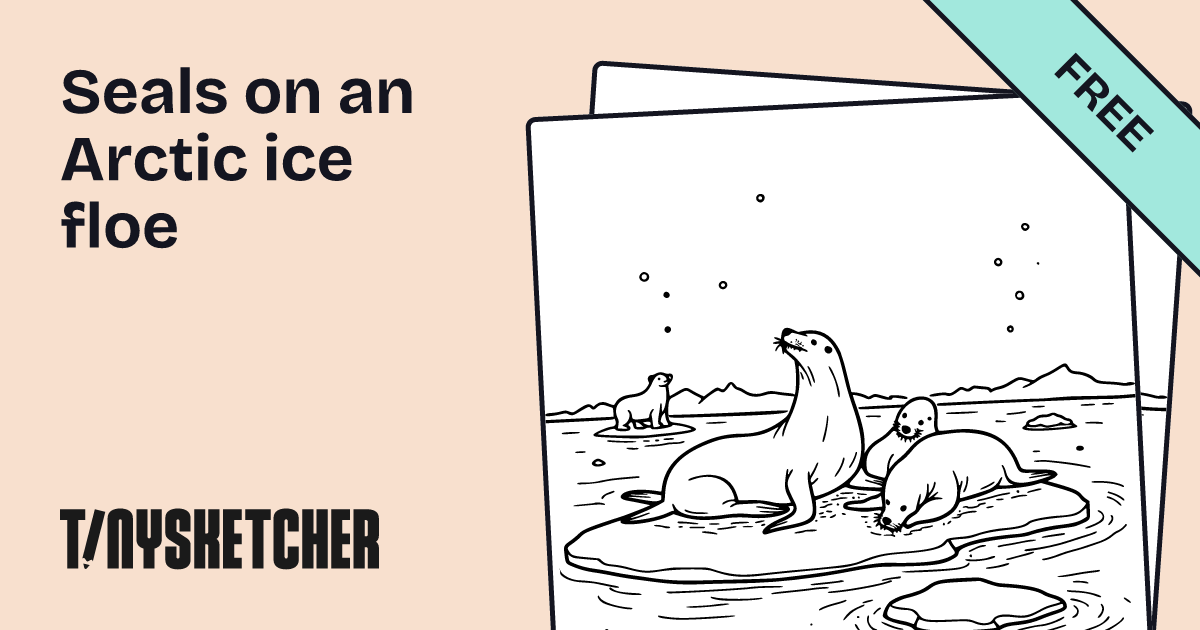 Seals on an Arctic ice floe Coloring - Og 